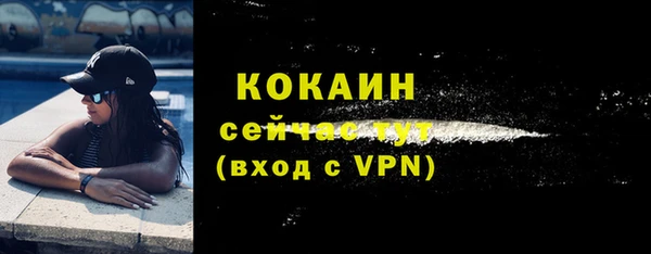 трава Арсеньев