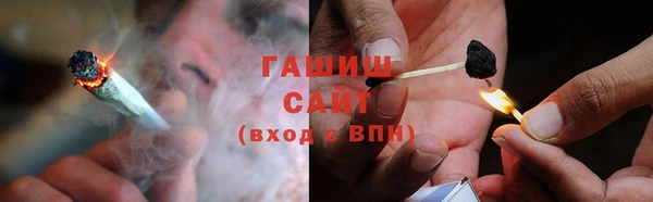 сатива Армянск
