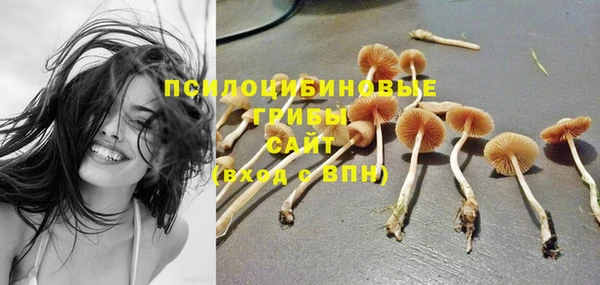 ешки Аркадак