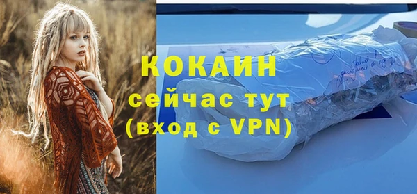 ешки Аркадак
