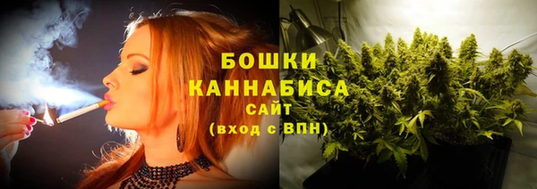 ешки Аркадак