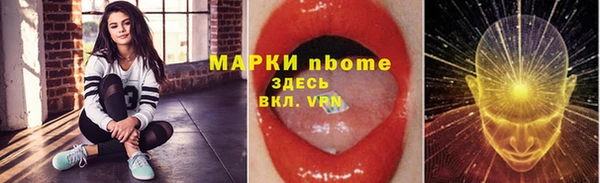 ешки Аркадак
