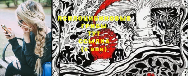 ешки Аркадак