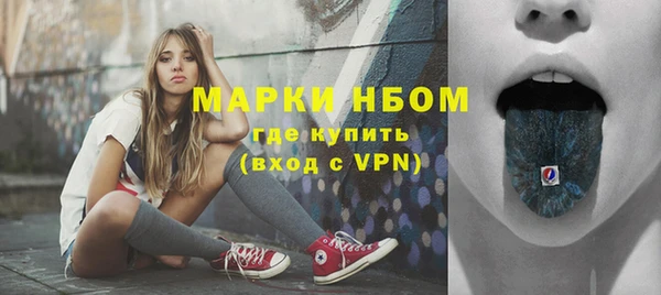 ешки Аркадак