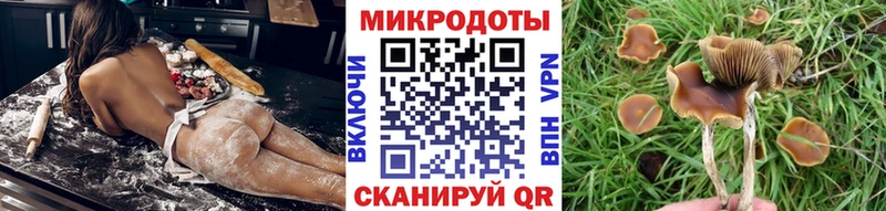 Галлюциногенные грибы Psilocybine cubensis  Татарск 